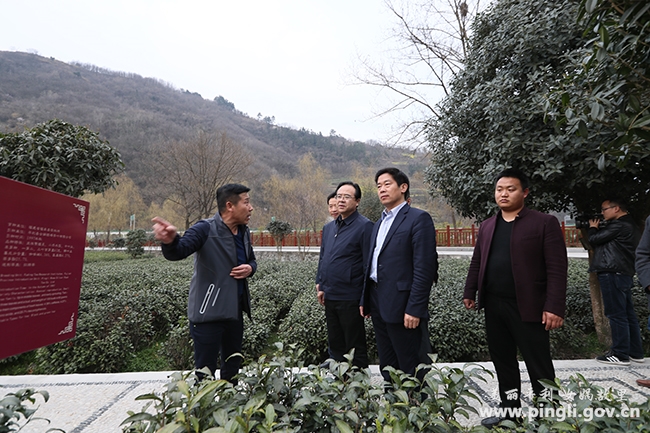 党红忠在我县调研指导中小企业发展工作-平利县人民政府