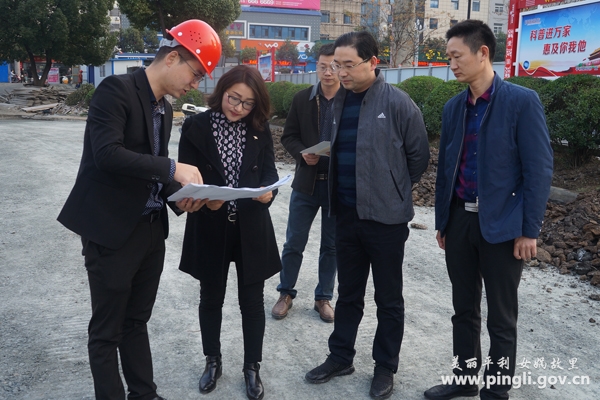 副县长黄芳检查指导教育重点项目建设工作-平利县人民