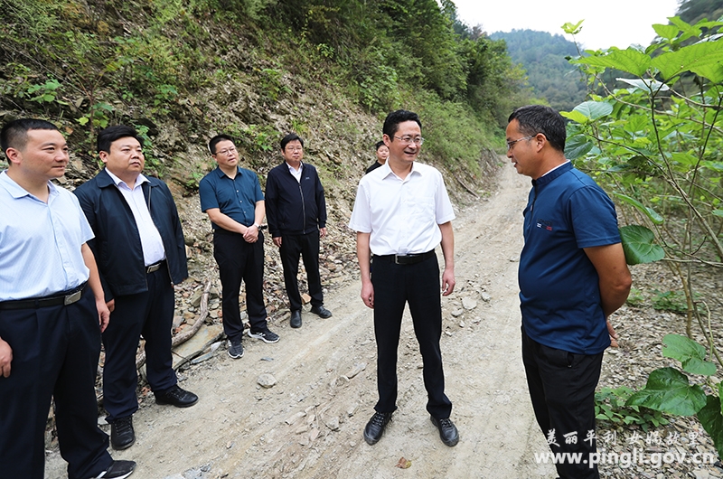 县委书记杨军深入三阳,大贵调研-平利县人民政府