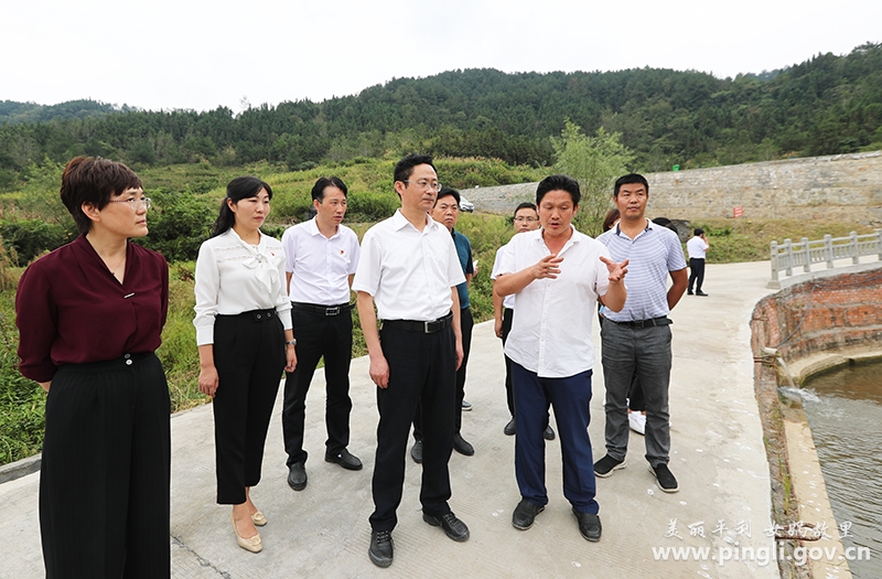 县委书记杨军深入三阳,大贵调研-平利县人民政府