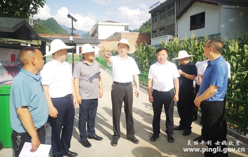 县委书记杨军到正阳镇八仙镇调研乡村振兴-平利县人民政府
