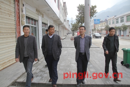 副县长刘永恒在洛河镇检查指导双创工作-平利县人民