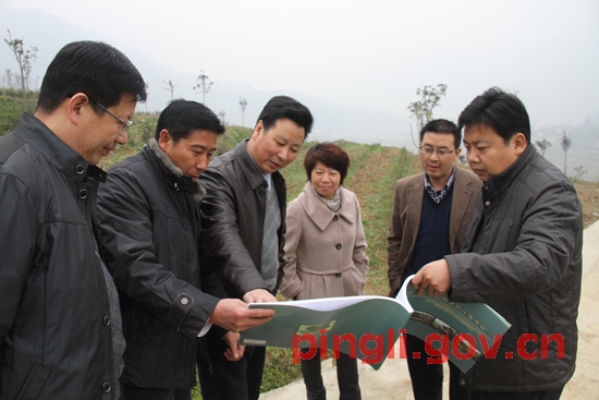 县委书记吴平主持召开长安重点镇景区建设现场会-平利县人民政府