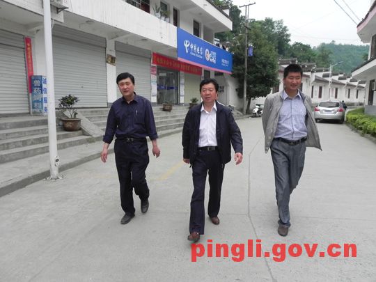 县政协主席汪贤存在兴隆镇检查指导双创工作-平利县人民政府