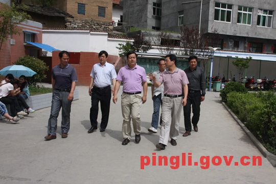 县委常委,宣传部长杨友谊深入八仙镇调研工作-平利县人民政府