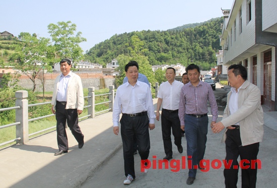 县委书记吴平在三阳镇调研指导当前工作-平利县人民政府