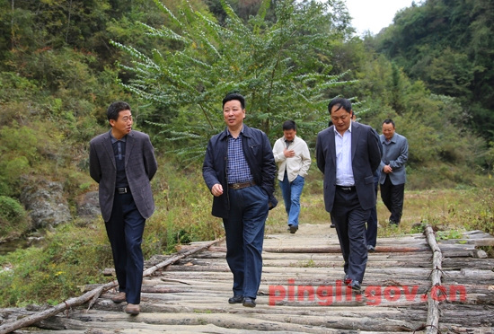县委书记吴平在洛河镇调研指导工作-平利县人民政府