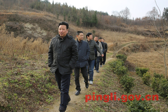 县委书记吴平在老县镇调研指导当前工作-平利县人民