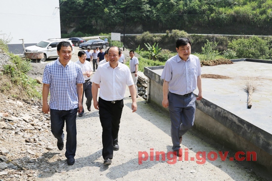 市委常委,政法委书记陈明到平利调研指导工作-平利县人民政府