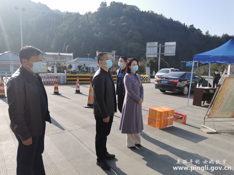 柳金学王红霞看望慰问疫情防控一线工作人员-平利县人民政府